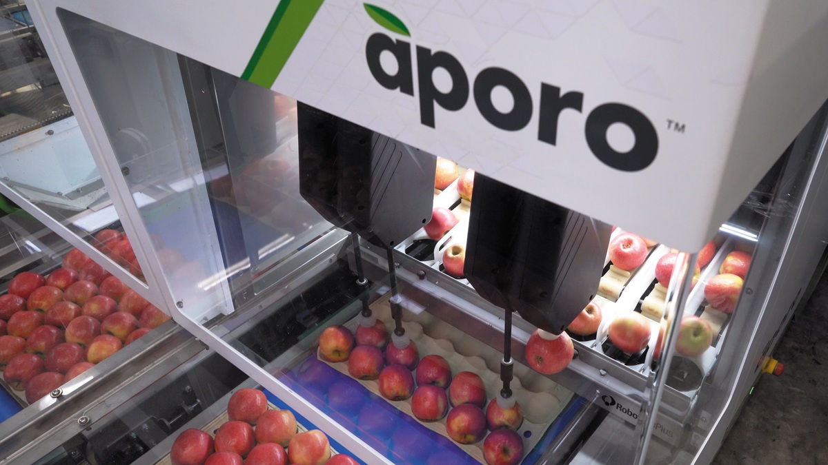 Aporo Apples (1).jpg
